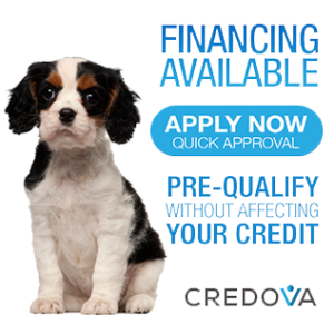 financing