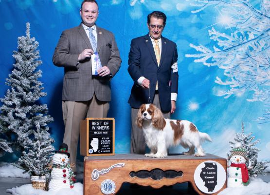 two men at dog show