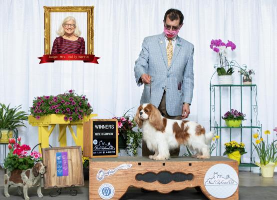 man with dog at dog show