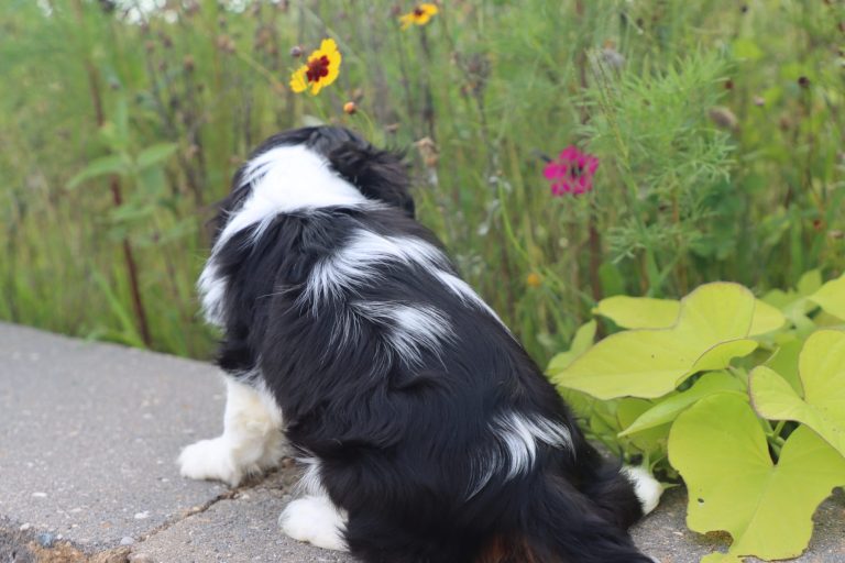 Abby